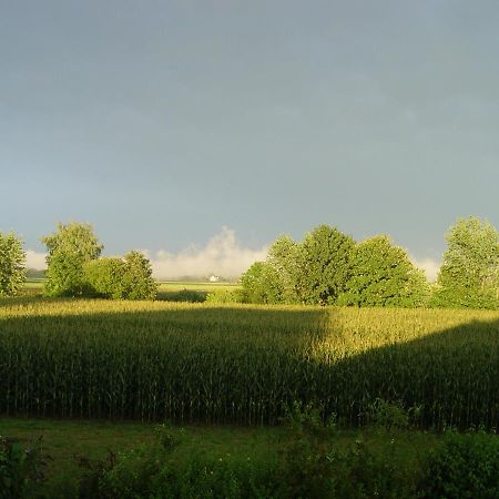 Privatzimmer mit Aussicht Pirna Exterior foto
