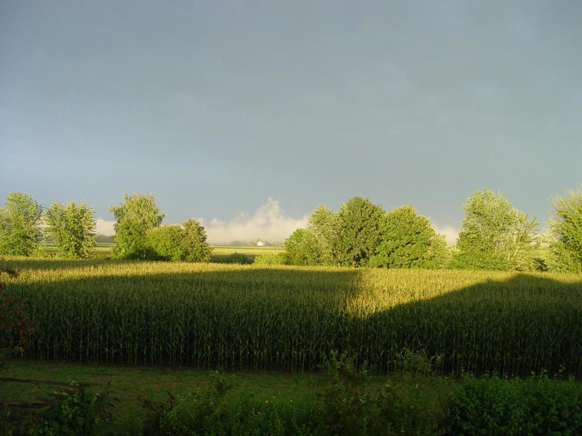 Privatzimmer mit Aussicht Pirna Exterior foto